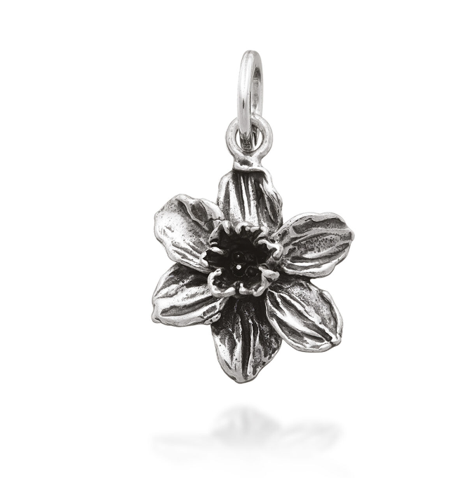 Charm Narciso 07759