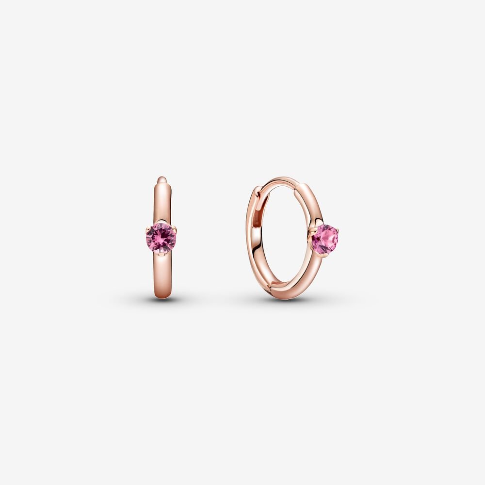 Orecchini Cerchi Solitario Rosa 289304C03