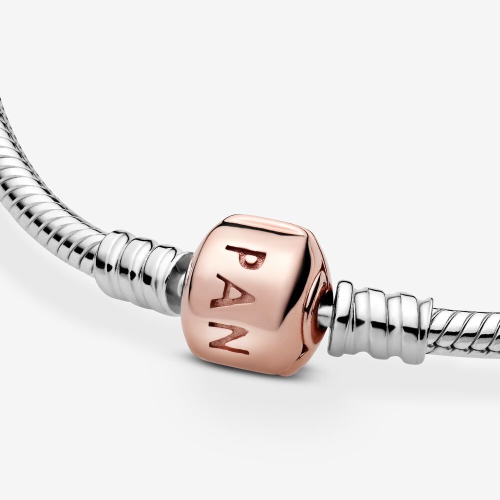 Pulsera Momentos 580702