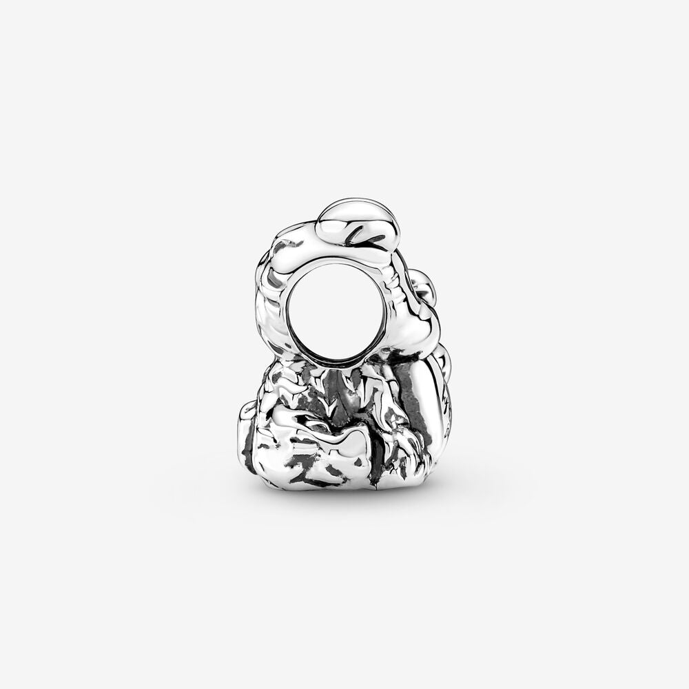 Charm Siempre a Tu Lado 790791C01
