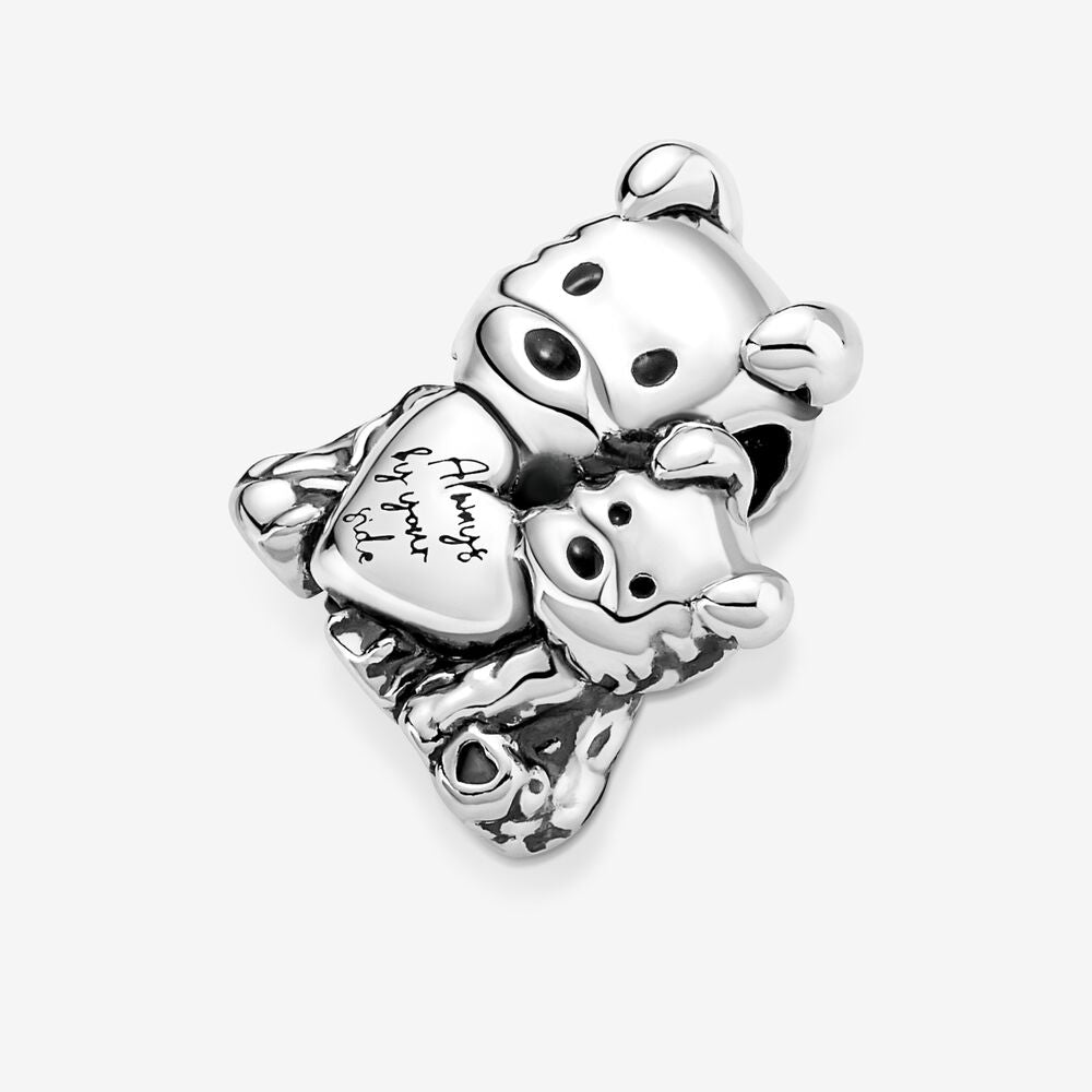 Charm Siempre a Tu Lado 790791C01