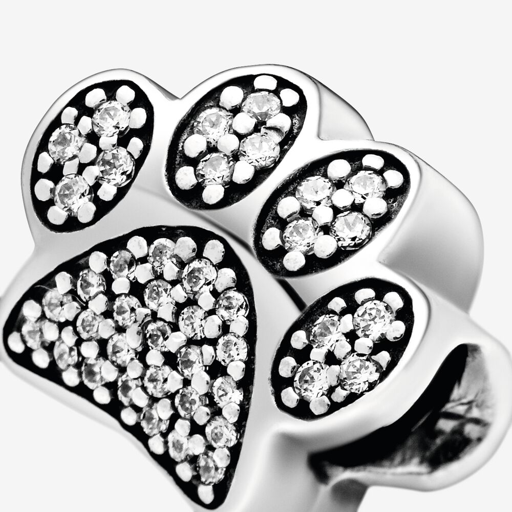 Encanto de la pata 791714CZ