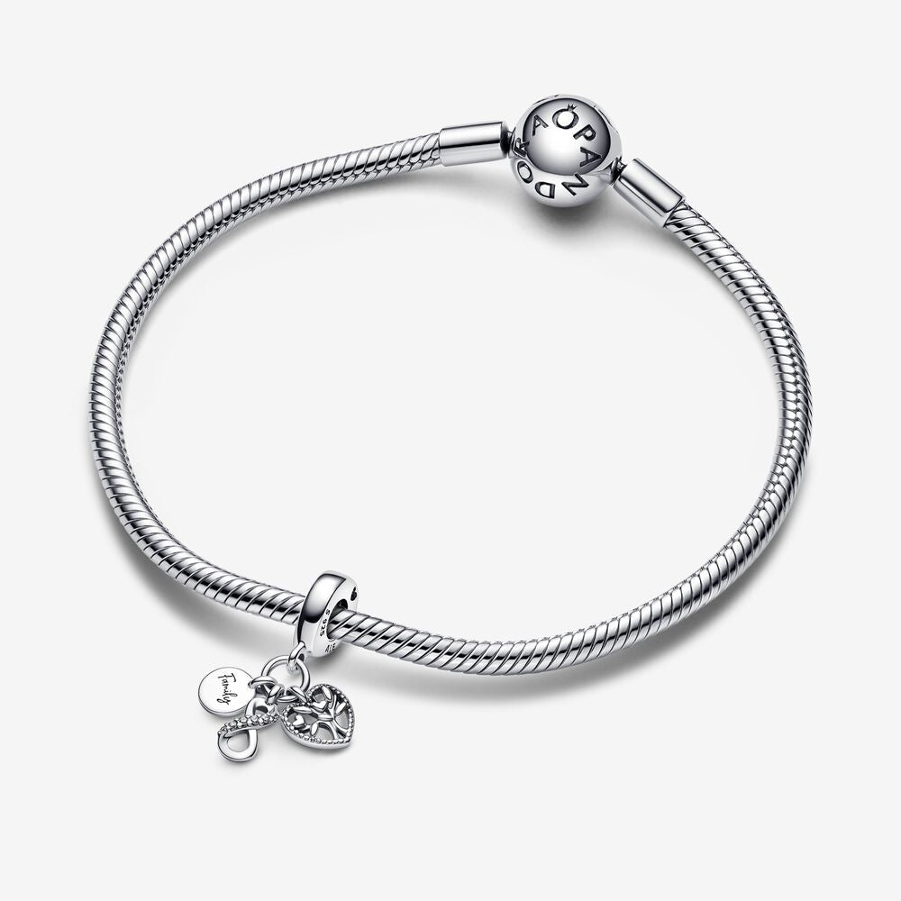 Colgante Charm Familia Forever 792201C01