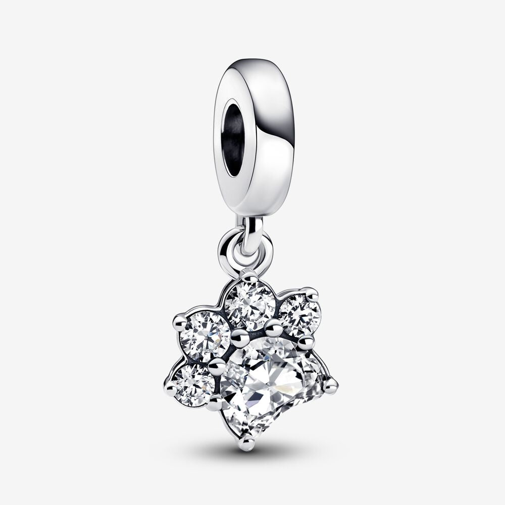 Encanto colgante de pata brillante 792247C01