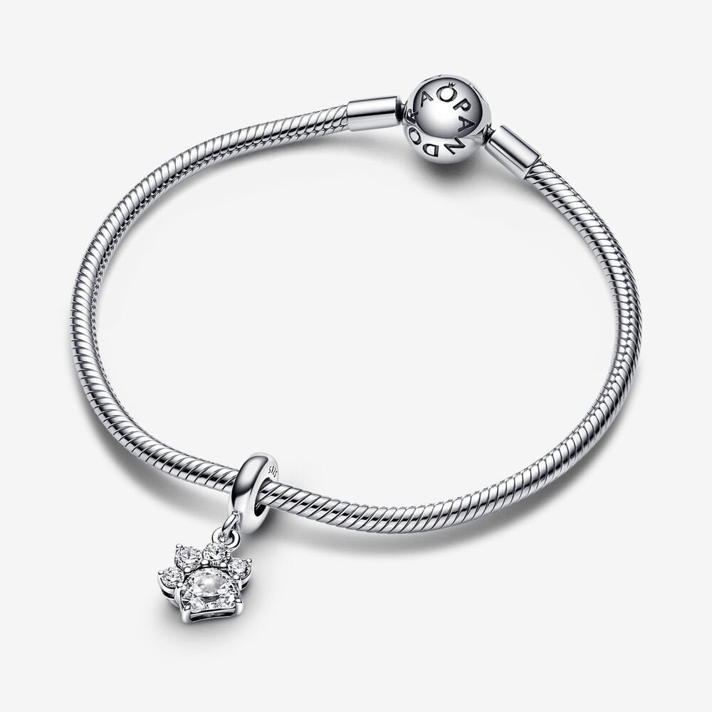 Encanto colgante de pata brillante 792247C01