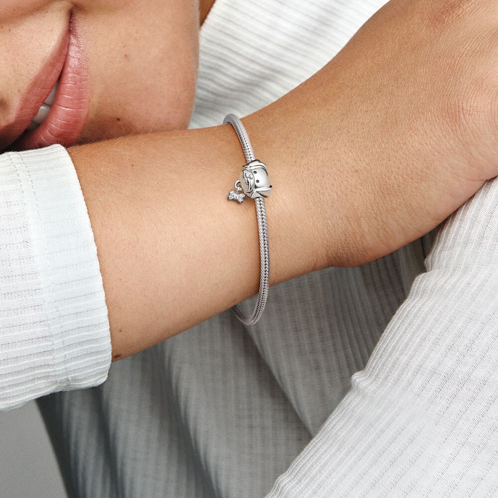 Charm Perro con Hueso 792254C01