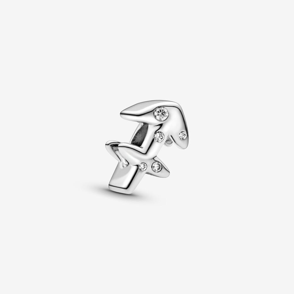 Charm Sagitario 798419C01