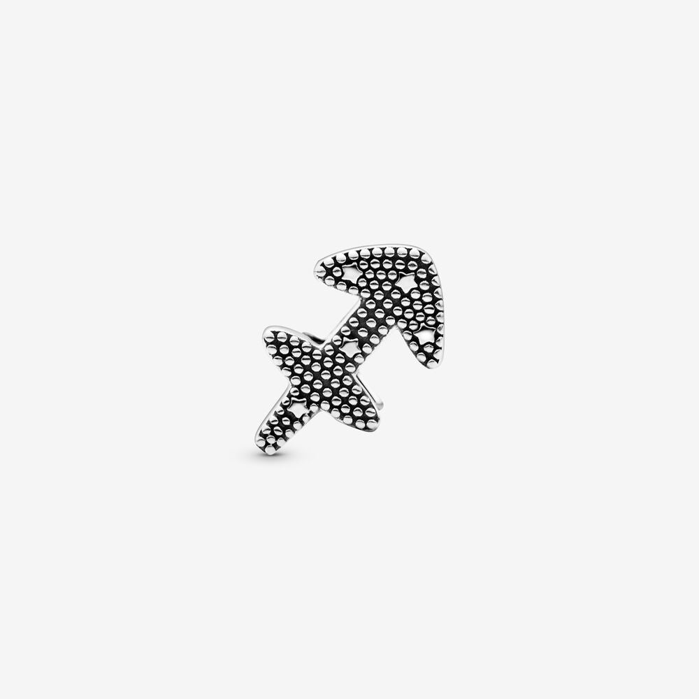 Charm Sagitario 798419C01