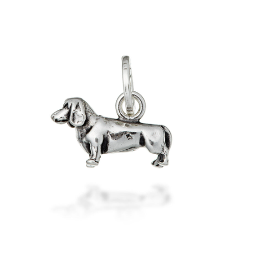 Encanto de perro salchicha 10398