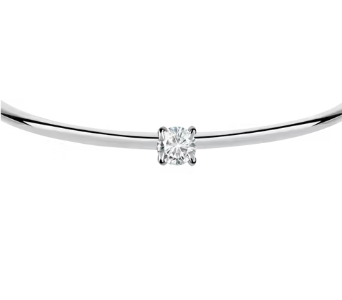 Bracciale Cerchi SAKM63