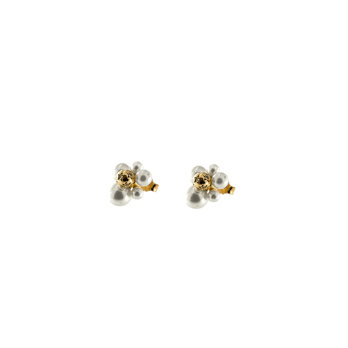 Orecchini Lobo a Grappolo ORZ-012 M6 PE AU