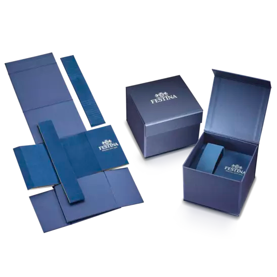 Orologio Uomo Classic Acciaio e Blu F20552/3