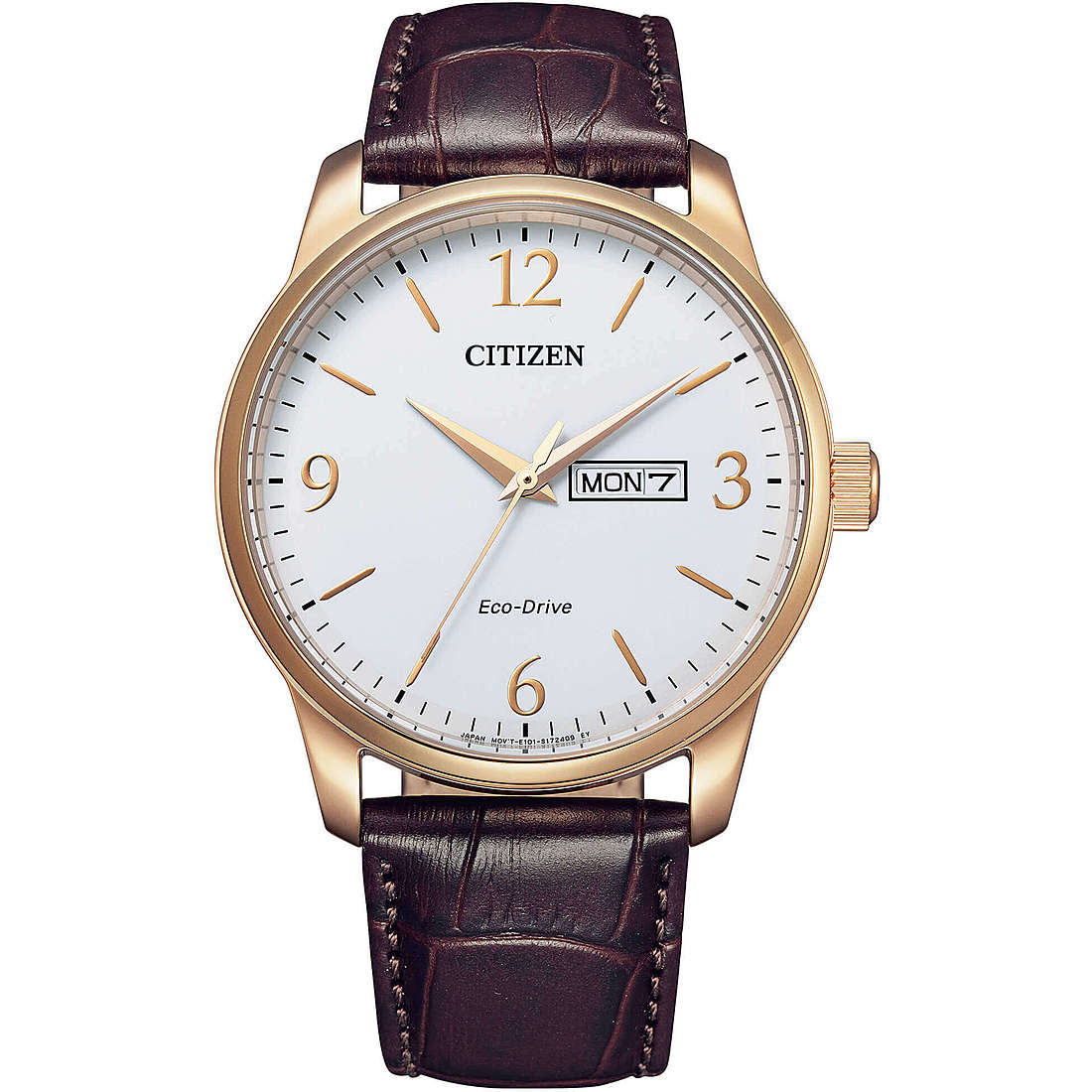 Classic Rosé, blanco y marrón BM8553-16A Watch de Men es