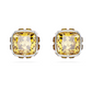 Orecchini a Lobo Birthstone Giallo Oro 5660802