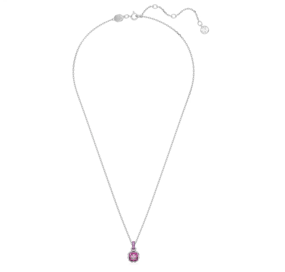 Pendente Birthstone con Pietra Viola Ametista 5651708