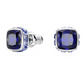 Orecchini a Lobo Birthstone Azzurri 5660803