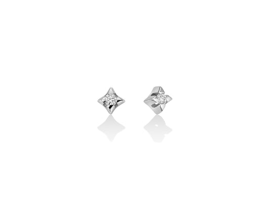 Pendientes con Diamantes Naturales ERD1590-008G7X