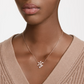 Collar Volta Lazo Rosa 5656741