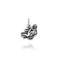 Charm Vergine 08616