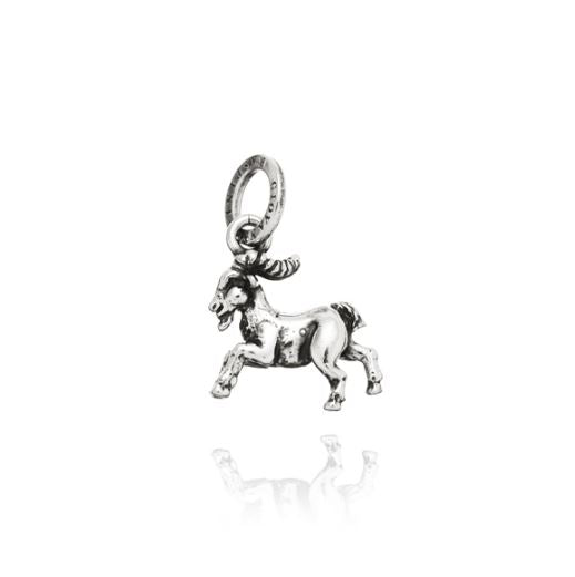 Charm Capricornio 08620