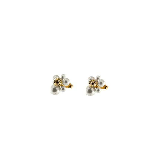 Orecchini Lobo a Grappolo ORZ-012 M6 PE AU