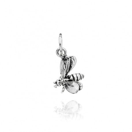 Charm Ape 09854