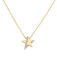 Collar Estrella Plana Dorada con Circonitas CLSTLGBZ 