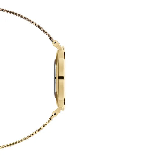Petite Evergold 28mm Reloj para mujer DW00100349 