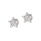 Pendientes Estrella Zircon ESTBBZ